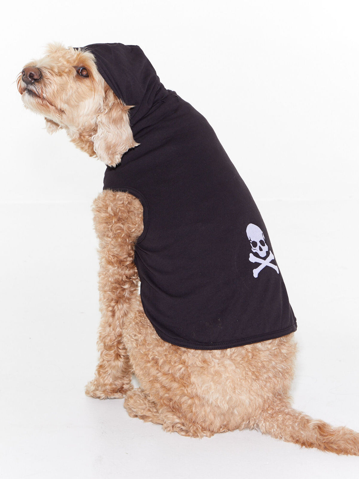 DOG SWEATER BLACK